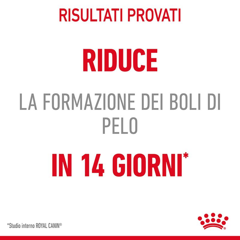 cibo per gatti Royal Canin bustine hairball 85gr