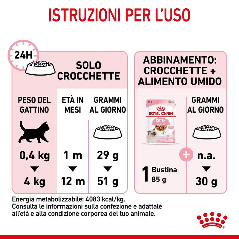 cibo per gattini Royal Canin kitten
