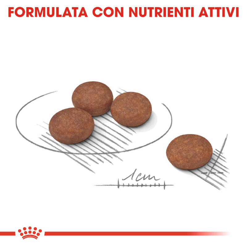 cibo per cani Royal Canin mini digestive care 3kg