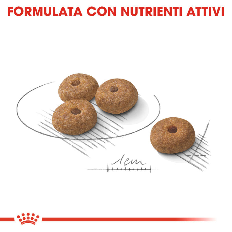 cibo per cani Royal canin mini sterilised 1kg