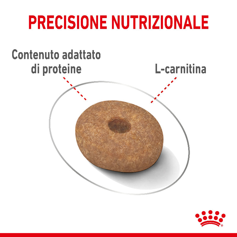 cibo per cani Royal canin mini light 1kg