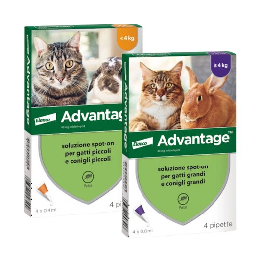 Antiparassitario per gatto Advantage