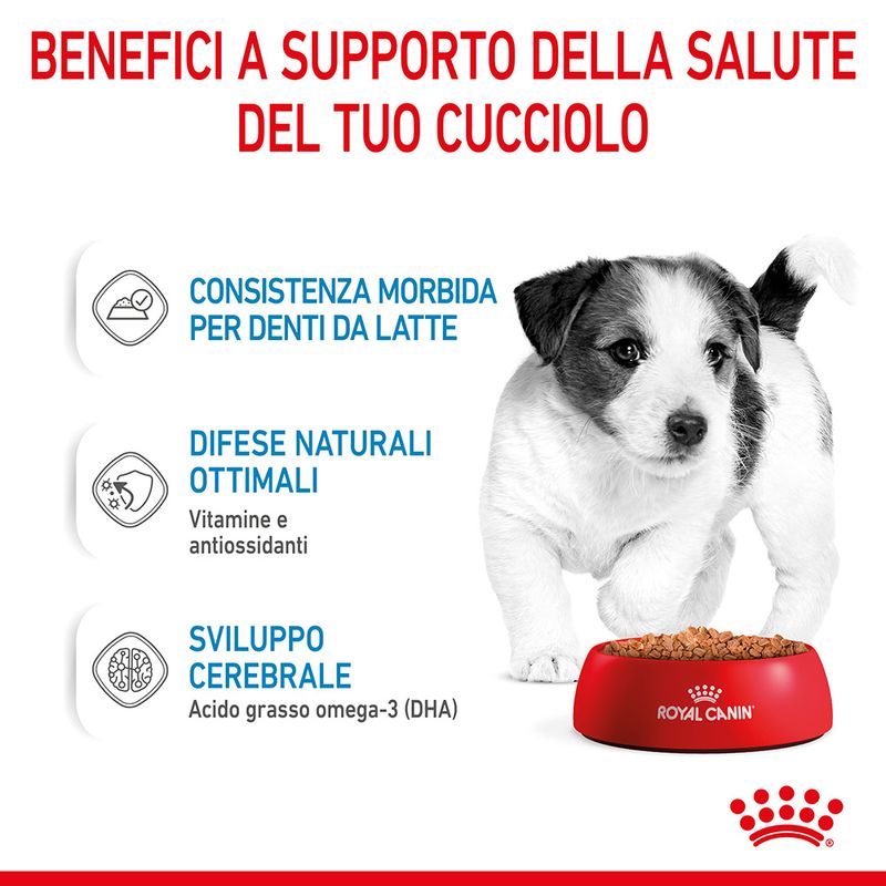 cibo umido per cani Royal canin puppy mini 85gr