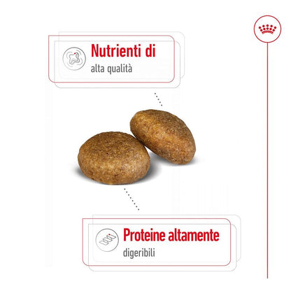 cibo per cani Royal Canin maxi adult 4kg