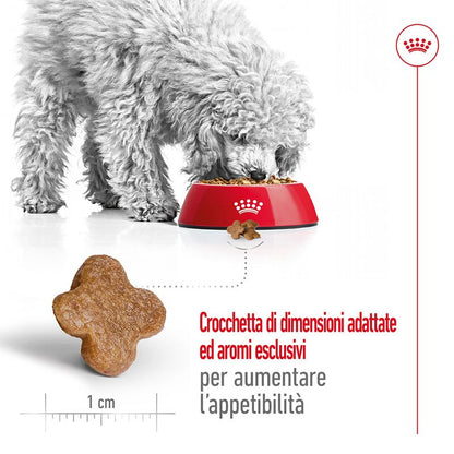 cibo per cani Royal canin mini adult 8+ 2kg