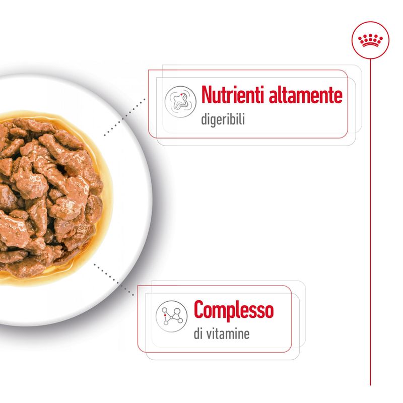 cibo umido per cani Royal canin mini adult 85gr