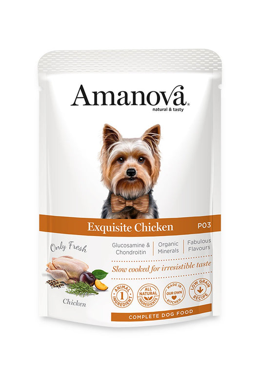 cibo per cani Amanova exquisite adult pollo fresco 100gr