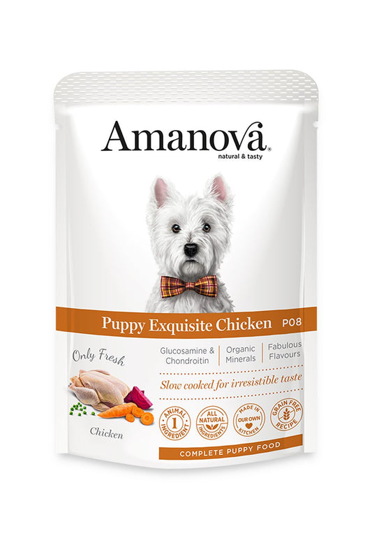 cibo per cani Amanova puppy exquisite pollo fresco 100gr