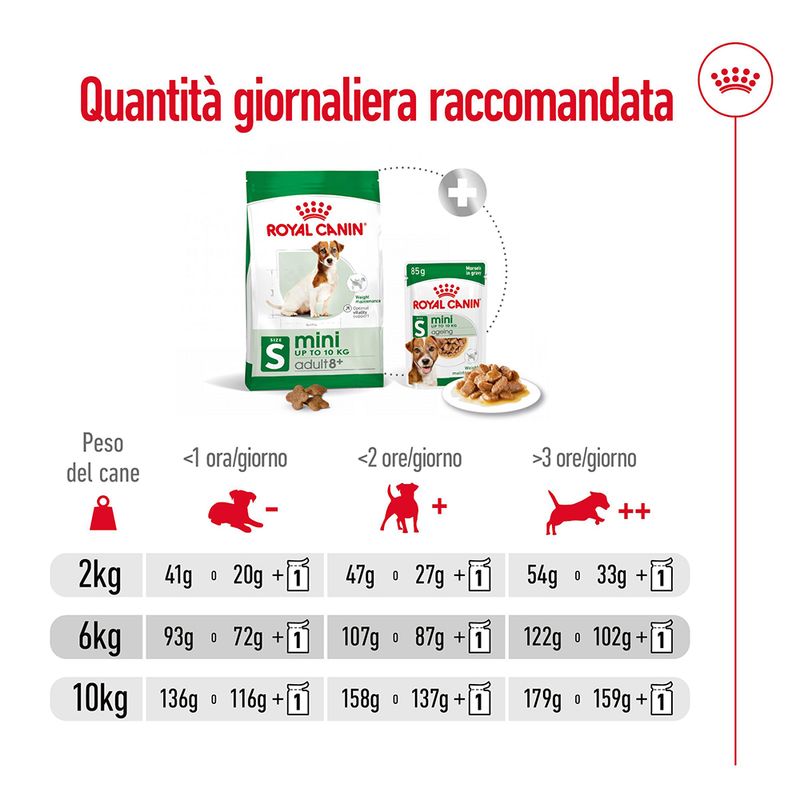 cibo per cani Royal canin mini adult 8+ 2kg