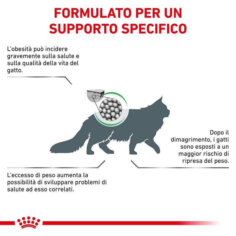 cibo per gatti Royal canin satiety