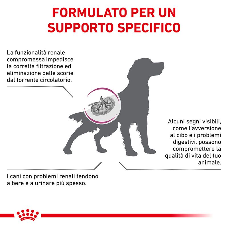 cibo per cani Royal canin renal 14kg