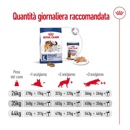 cibo per cani Royal Canin maxi adult 4kg